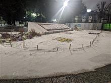 名古屋、雪です(^◇^;)