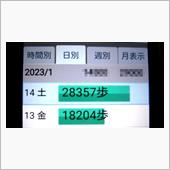 関東遠征最終日はゆっくり