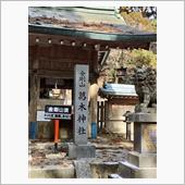 金剛山へ