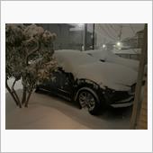 雪の朝　AWDの朝