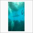 うみの杜水族館ヘ(^o^)