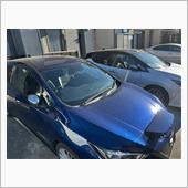 今週は洗車は