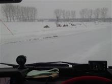 雪中キャン