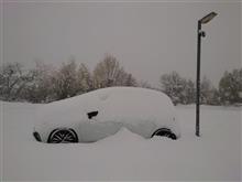 よく降りました❄