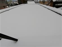 屋上防水ペンキ塗り 積雪時確認