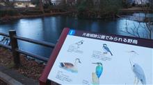 １月最後の週末