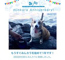 祝・みんカラ歴1年！