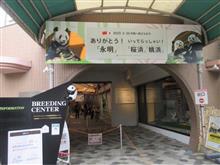 和歌山 〜 アドベンチャーワールド 〜 和歌山 〜 アドベンチャーワールド 〜