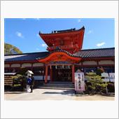 1月ももう終わりですが…