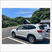 四国一周の旅４日目：竜串海岸