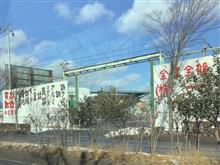 DIY派