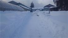 大雪が降りました（泣）