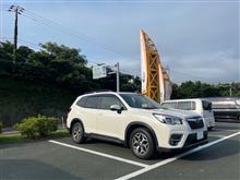 四国一周の旅５日目：佐田岬