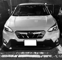 愛車と出会って1年！