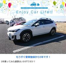 5年たちます