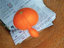 清見追加。　ＧＯ！