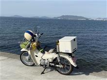 普段履きのスニーカー