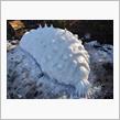 王蟲の雪像の製作