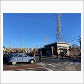SUNNY FRENCH M ...