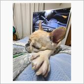 お休み  桃太郎