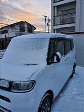 まだまだ降るなかで、来ましたよ🎵