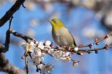 2月の撮影あれこれ