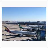 飛行機を見てきたよ