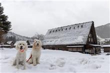 岐阜で今年2度目の雪遊び　～雪遊びと観光～