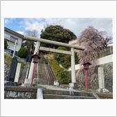 梅の花に対して無粋なことを述 ...
