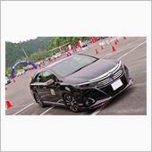 【必見】オートテストの年間参 ...