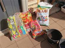 バラと柿の冬メンテ バラと柿の冬メンテ