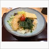 たぶんダイエットのためのきし ...