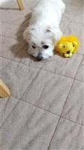 これからも一緒だよ