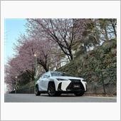 早咲きの安行桜とUX（前編）