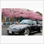 木場・大横川”河津桜” ～  ...