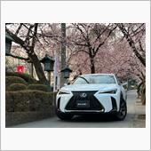 早咲きの安行桜とUX（後編）