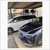 春仕様＋花粉除去