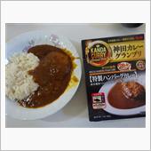 ハンバーグカレー
