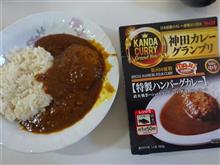 ハンバーグカレー 