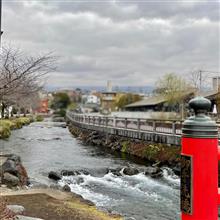 富士山は見られませんでしたが・・・チラホラと花便り🌼⛩