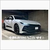 定期便バグ😱