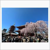 上野〜浅草〜スカイツリー散歩