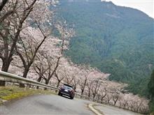 2022桜ドライブ～奈良と三重と京都の県境を散策してみた