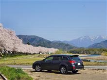 2022桜ドライブ～３年ぶりの湖北へ。。。