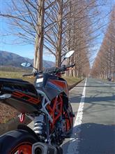 春まだ遠し