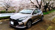 愛車と出会って1年！