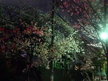 早いなあ