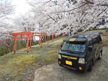 地元の桜巡りなどなど　(^^♪