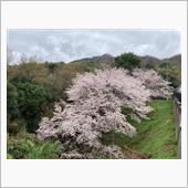 代車で活動した菜種梅雨の週末