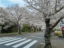 伊豆高原に行ってきました